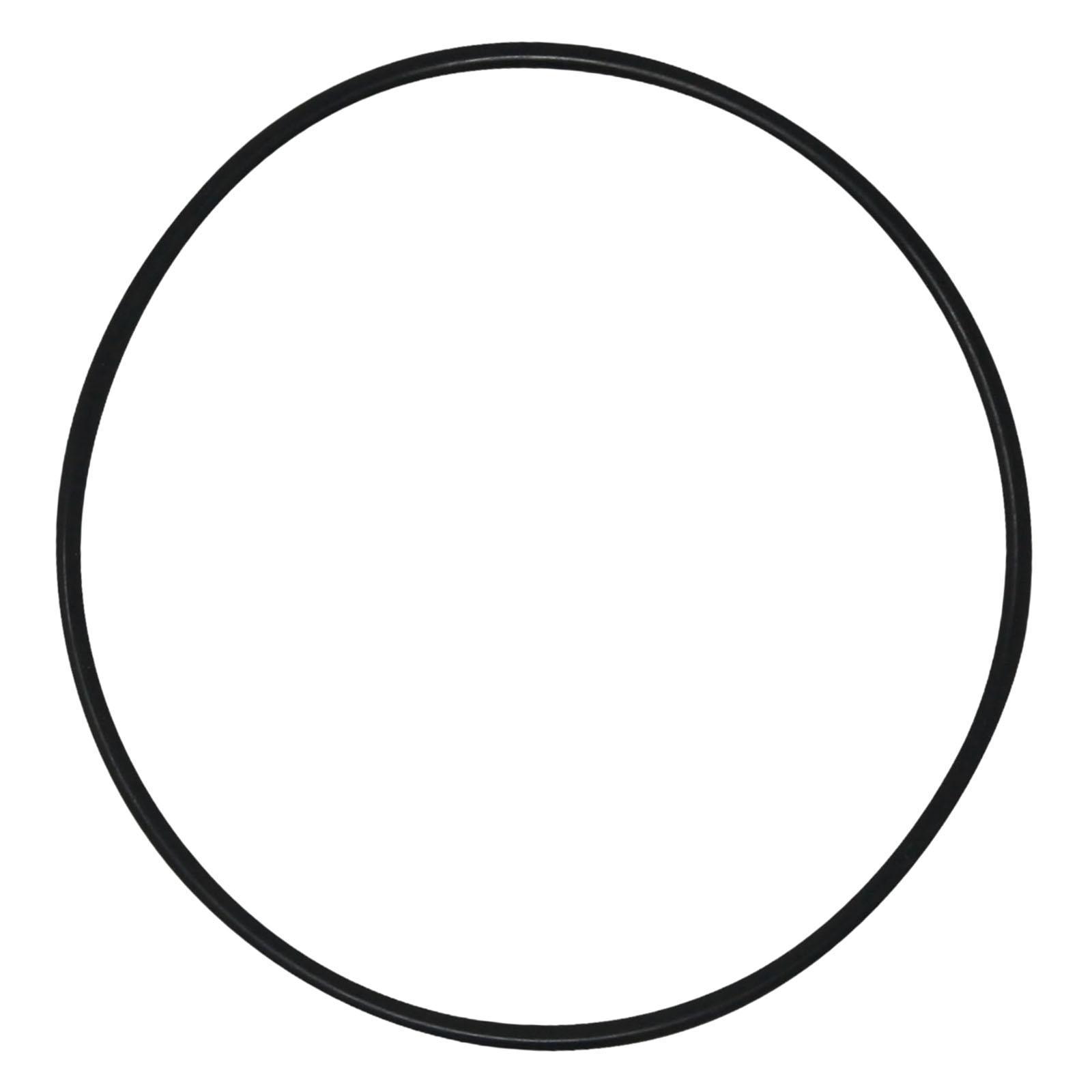 Leakproof Pool Filter Tank O R - Tank O-Ring Seal recension och pris